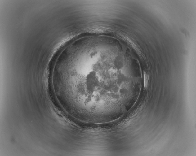 X0000111200675200907011434