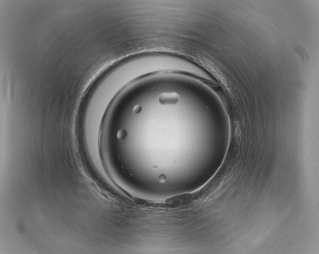 X0000111200676200907011434