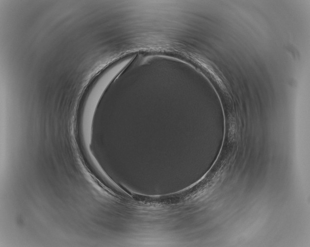 X0000111200677200907011434