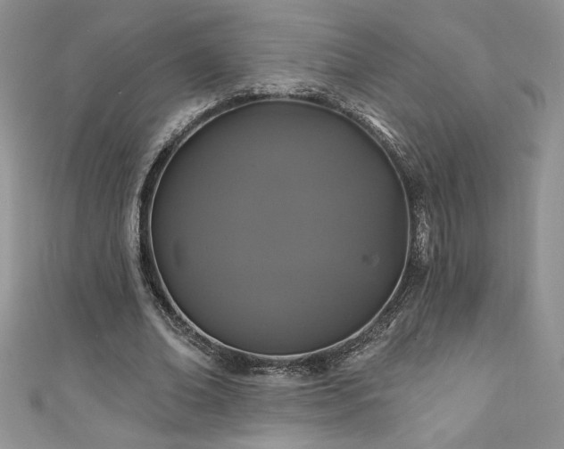 X0000111200678200907011434