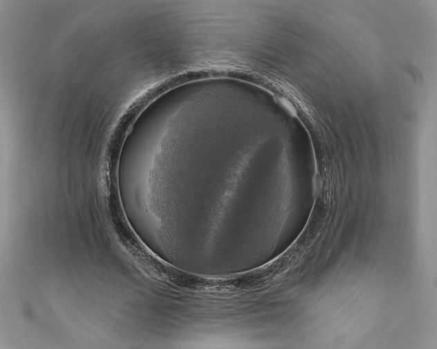 X0000111200680200907011434