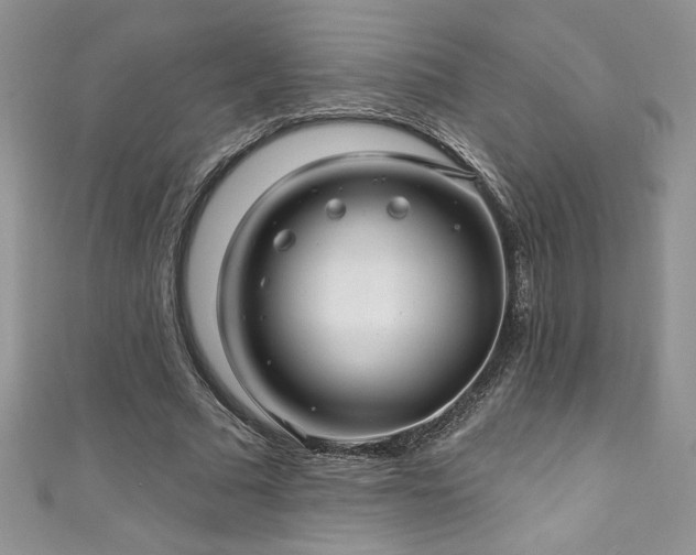 X0000111200681200907011434