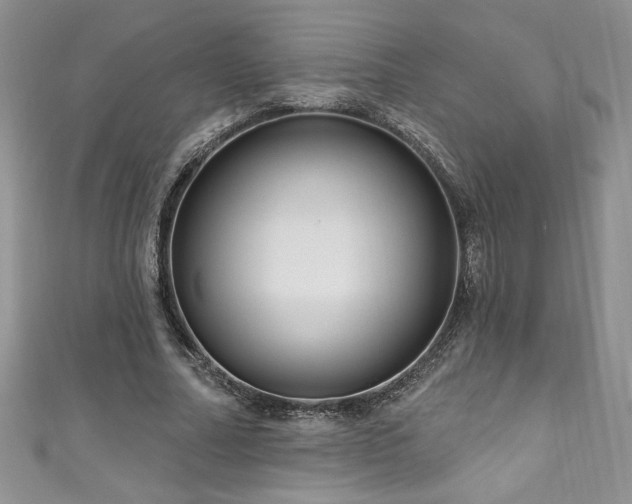 X0000111200682200907011434