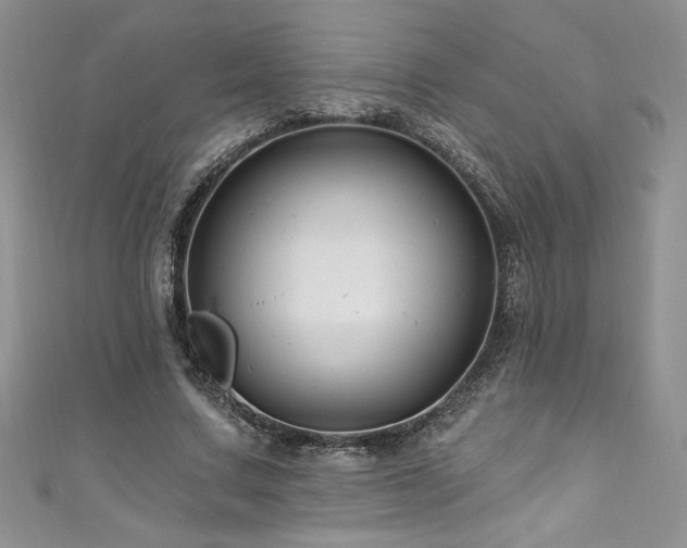 X0000111200683200907011434