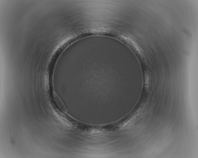 X0000111200684200907011433