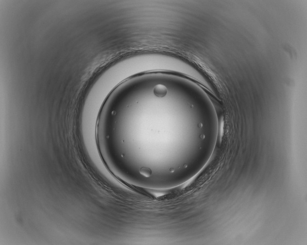 X0000111200685200907011433