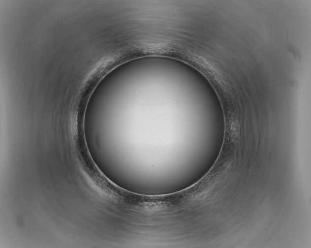 X0000111200686200907011433