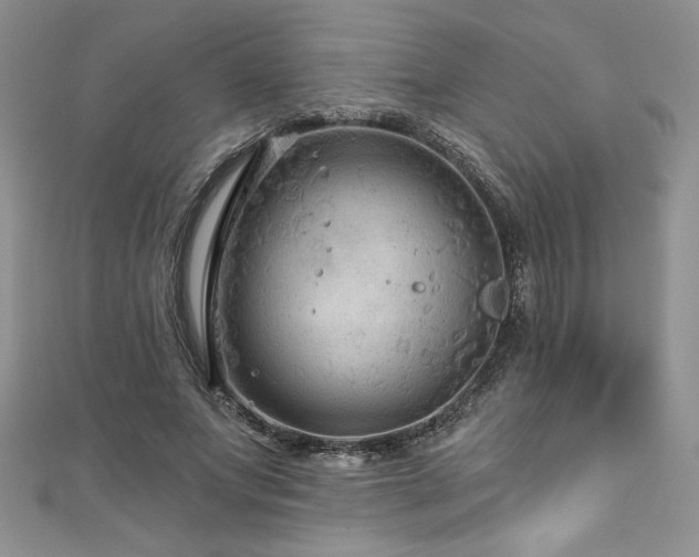 X0000111200687200907011433