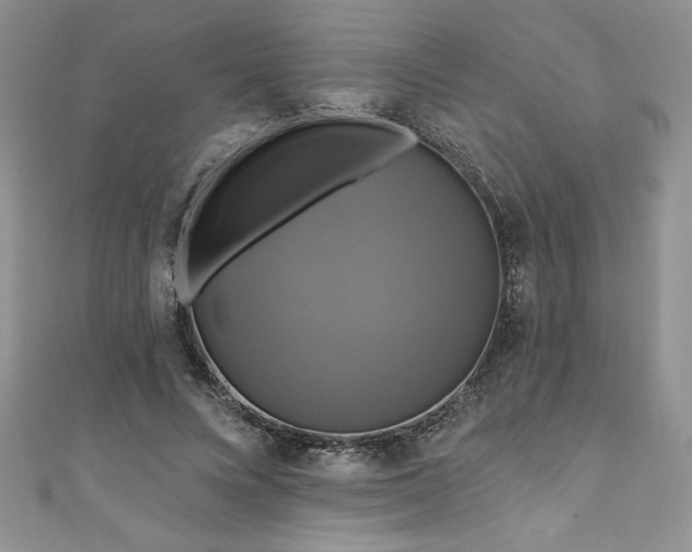 X0000111200688200907011433