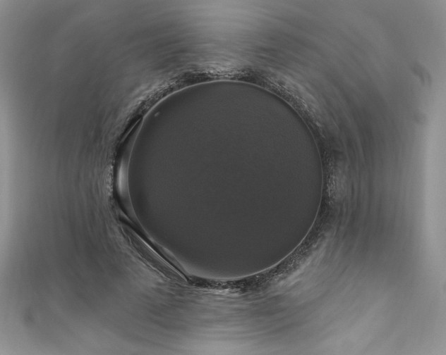 X0000111200689200907011433