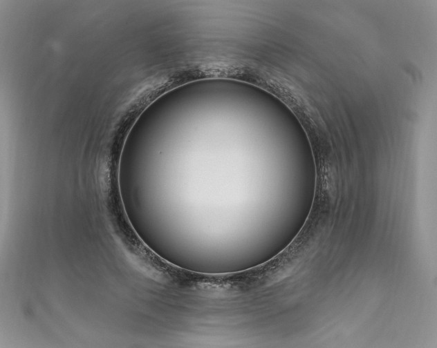 X0000111200690200907011433