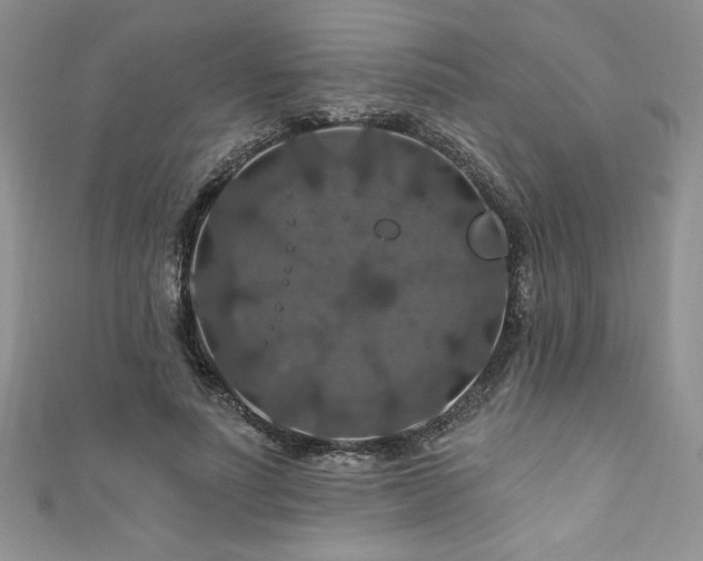 X0000111200691200907011433