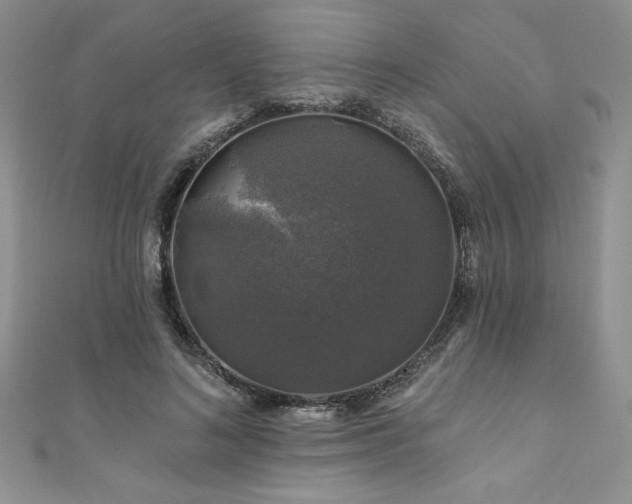 X0000111200692200907011433