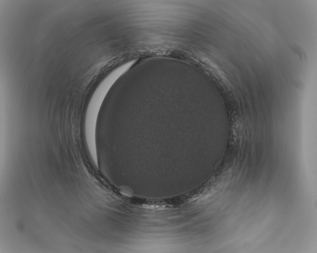 X0000111200693200907011433