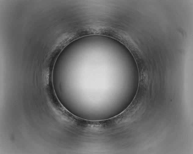 X0000111200694200907011433