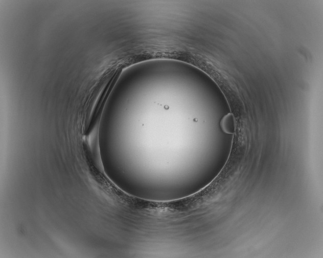 X0000111200695200907011433