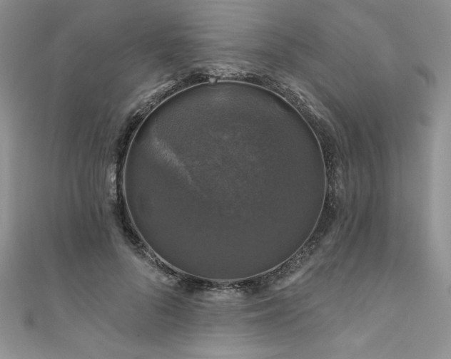 X0000111200696200907011433