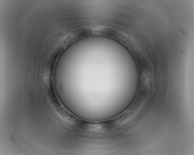 X0000111200698200907011433