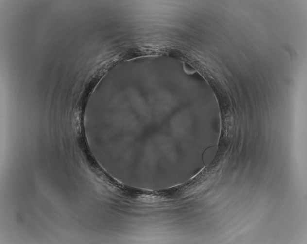 X0000111200699200907011433