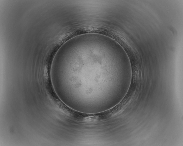 X0000111200700200907011433