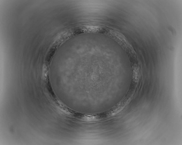 X0000111200701200907011433