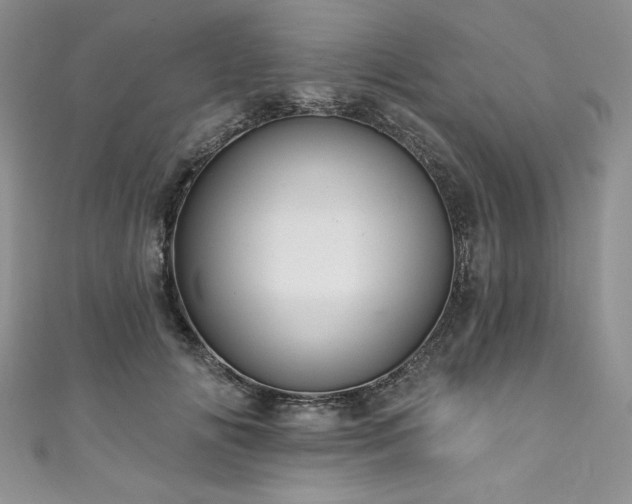 X0000111200702200907011433