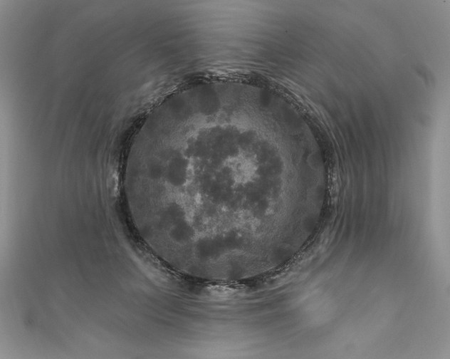 X0000111200703200907011433