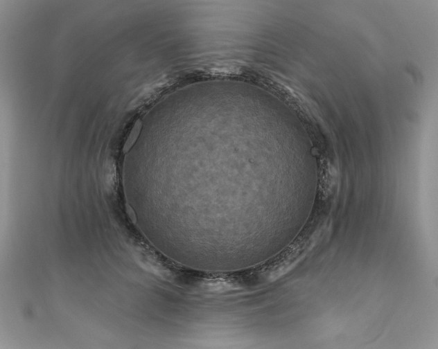 X0000111200704200907011433