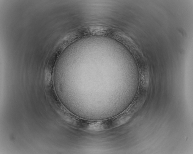 X0000111200705200907011433