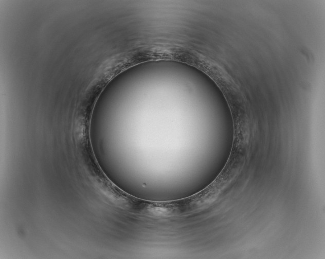 X0000111200706200907011433