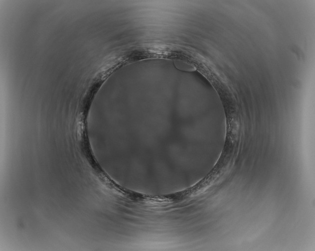 X0000111200707200907011433