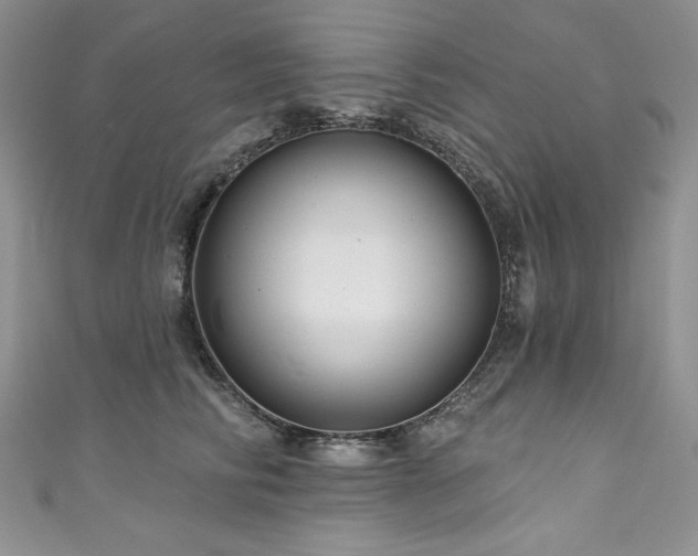 X0000111200710200907011433