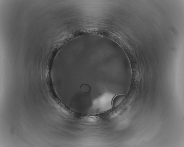 X0000111200711200907011433