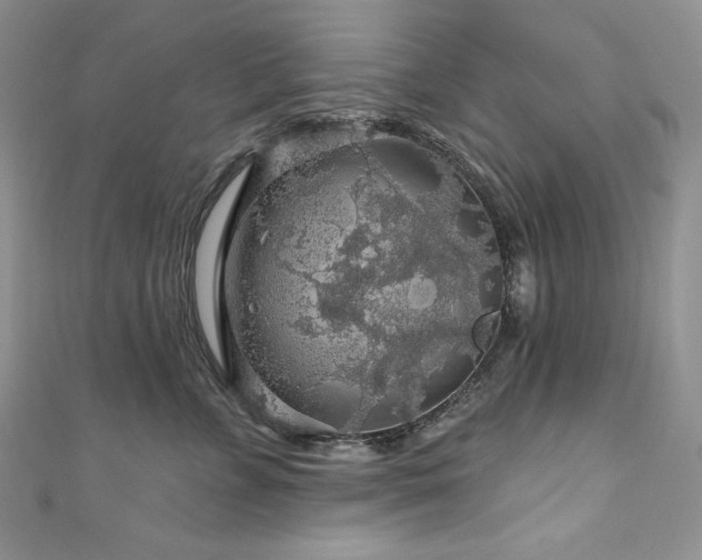 X0000111200715200907011433