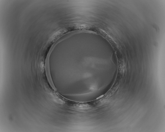 X0000111200716200907011433