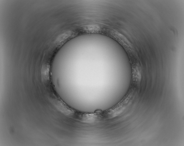 X0000111200717200907011433