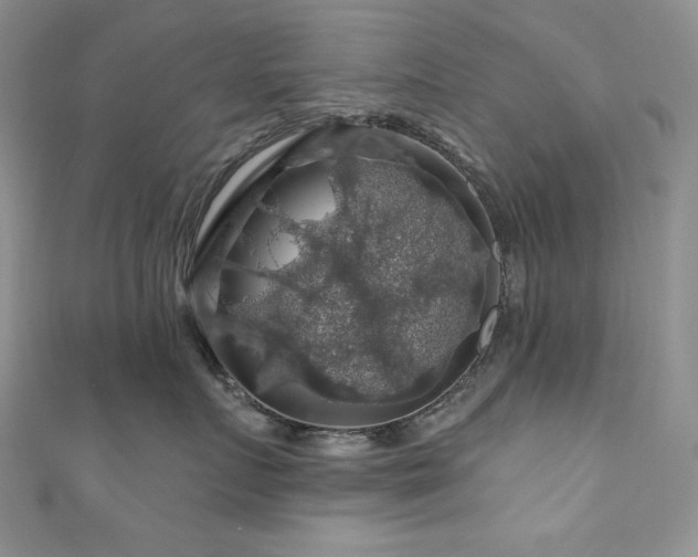 X0000111200719200907011433