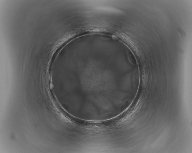 X0000111200721200907011432