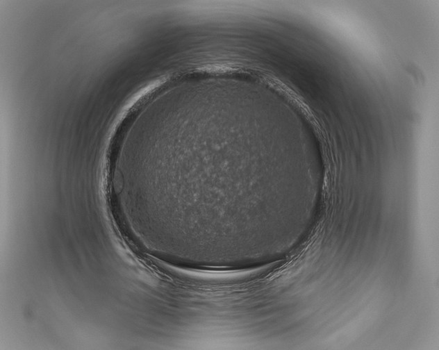 X0000111200724200907011432