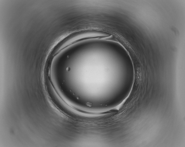 X0000111200726200907011432