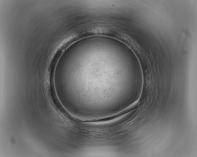 X0000111200727200907011432