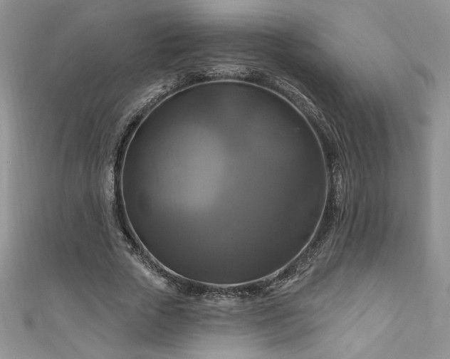 X0000111200729200907011432