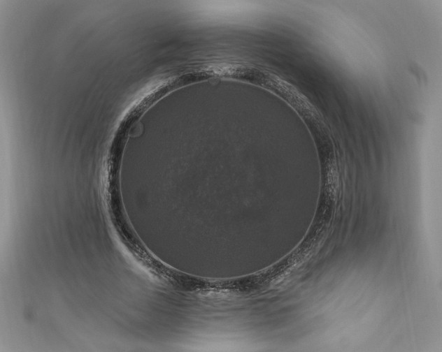 X0000111200730200907011432