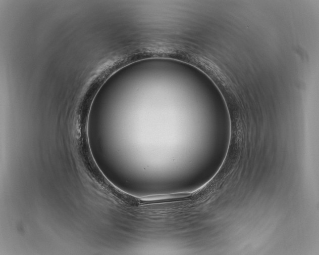 X0000111200731200907011432