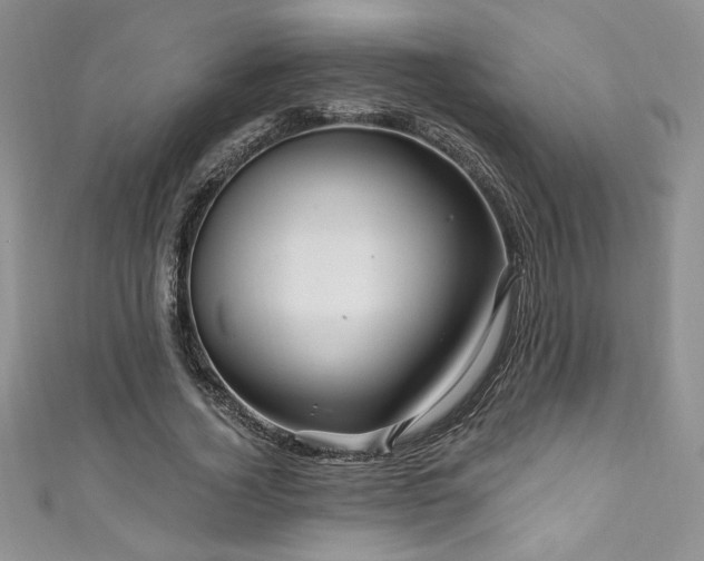 X0000111200732200907011432