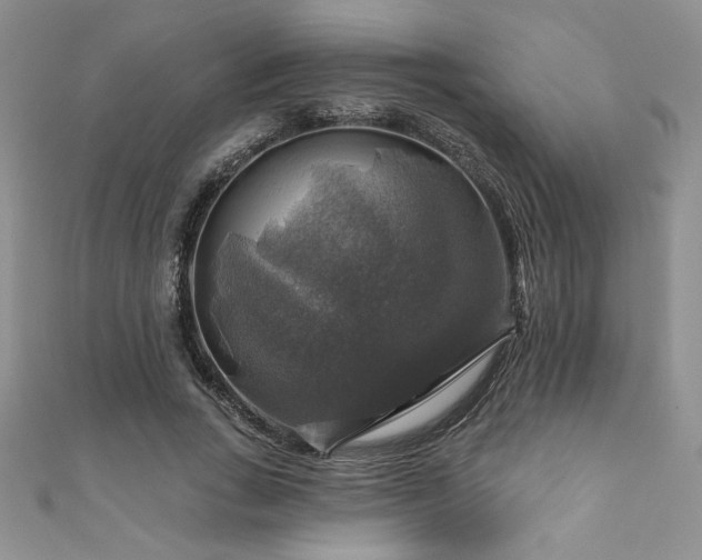 X0000111200735200907011432