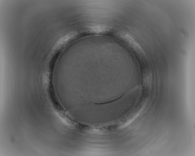 X0000111200736200907011432