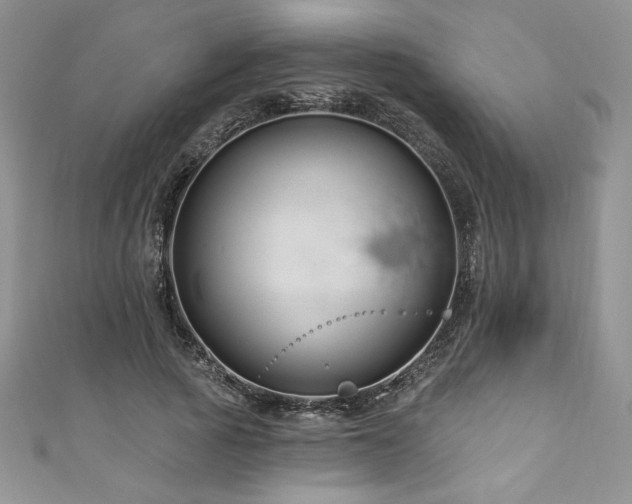 X0000111200737200907011432