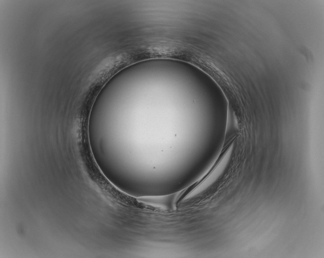 X0000111200738200907011432