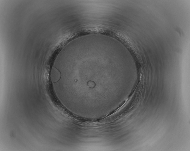 X0000111200739200907011432